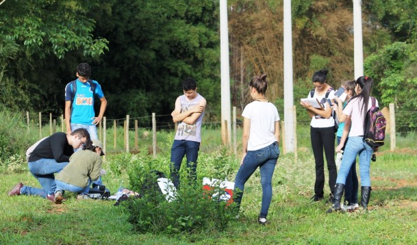 Sete alunos da escola participaram do projeto. Foto: Arquivo Pessoal